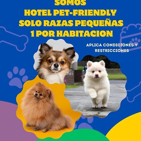 Hotel Casablanca Natural Spa Paipa Ngoại thất bức ảnh