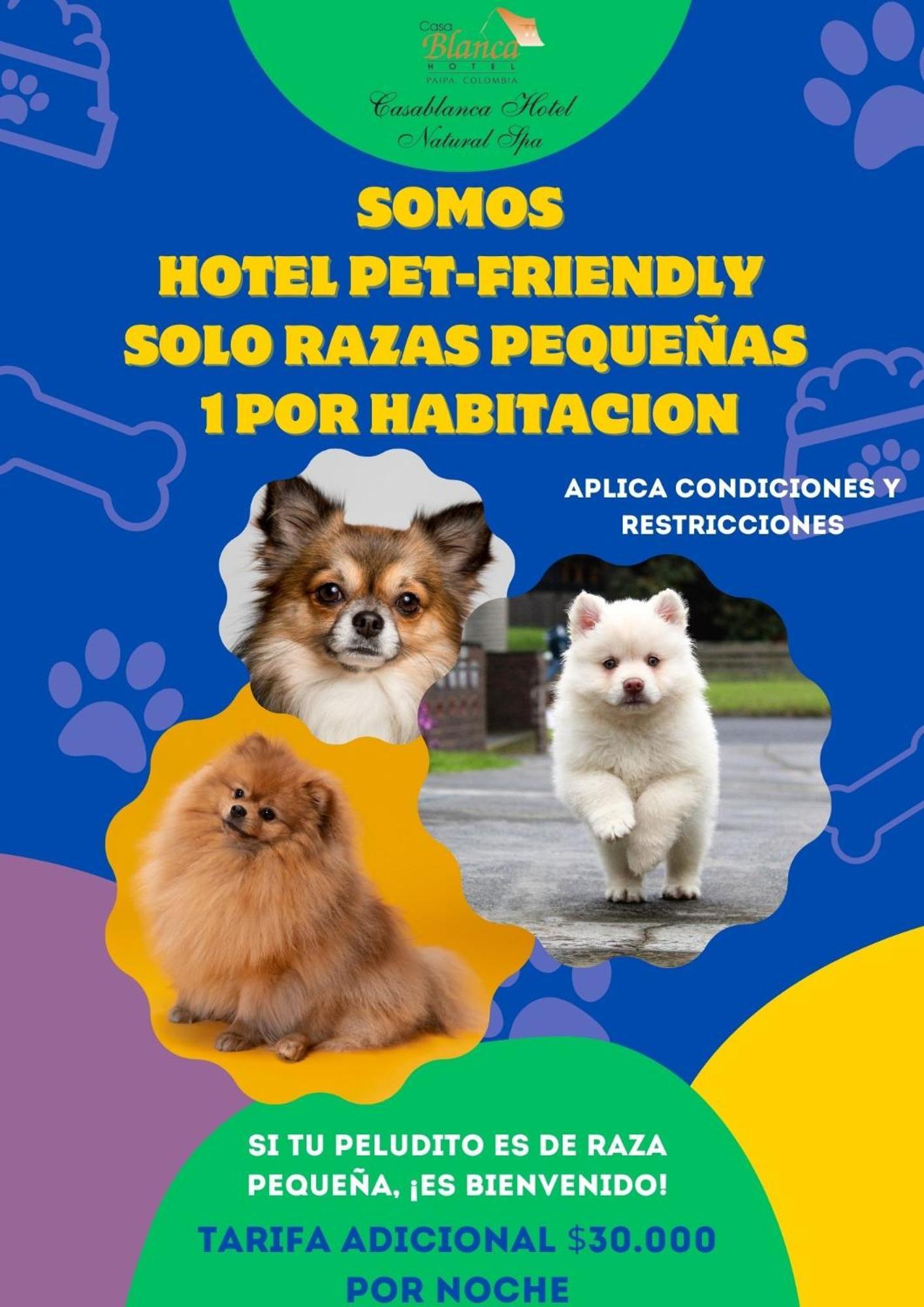 Hotel Casablanca Natural Spa Paipa Ngoại thất bức ảnh
